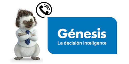 teléfono atención genesis